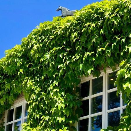Apartment Gaestehaus Schloss Bothmer Schwarmstedt Dış mekan fotoğraf