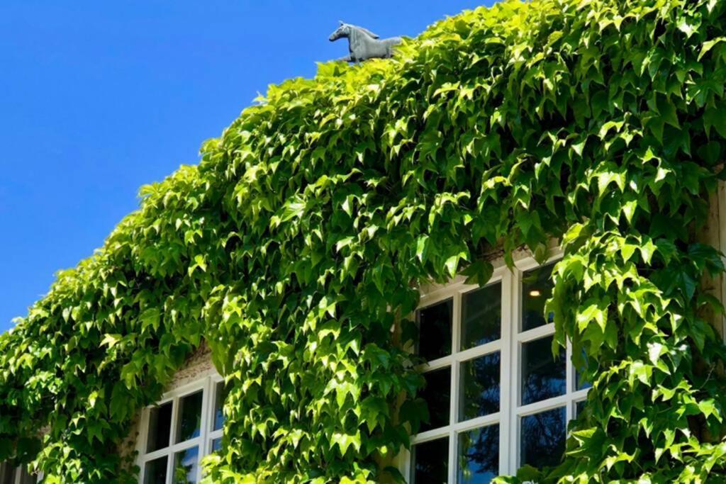 Apartment Gaestehaus Schloss Bothmer Schwarmstedt Dış mekan fotoğraf